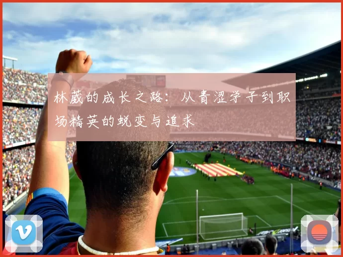 林葳的成长之路：从青涩学子到职场精英的蜕变与追求