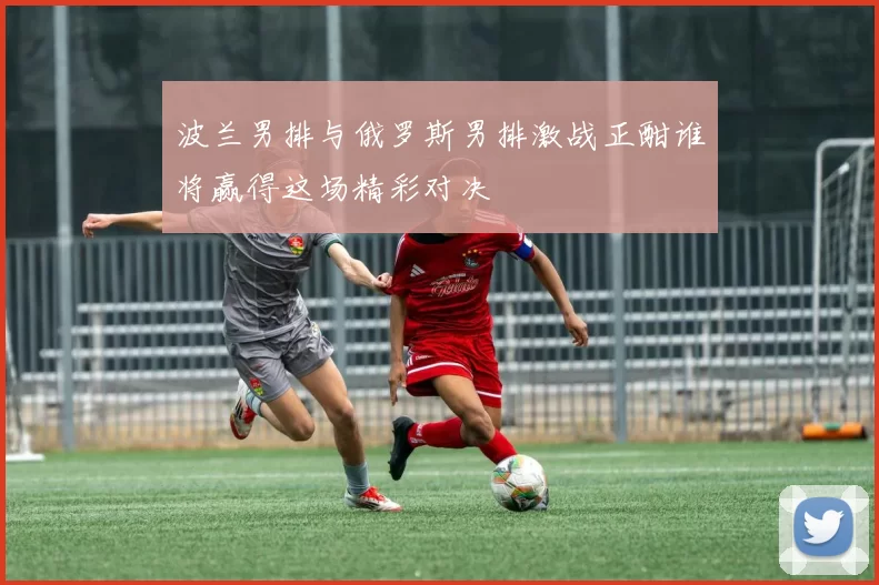 波兰男排与俄罗斯男排激战正酣谁将赢得这场精彩对决