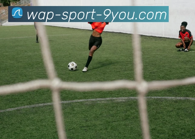 JIUYOU平台生态图